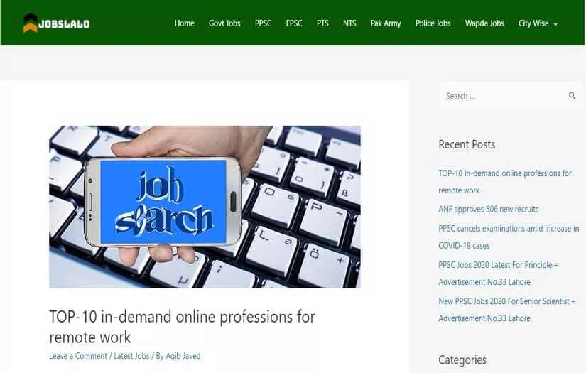 Jobslalo.online screenshot 2